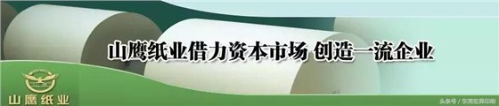 2018年中国纸企产业格局已定，一定要看准两大趋势！